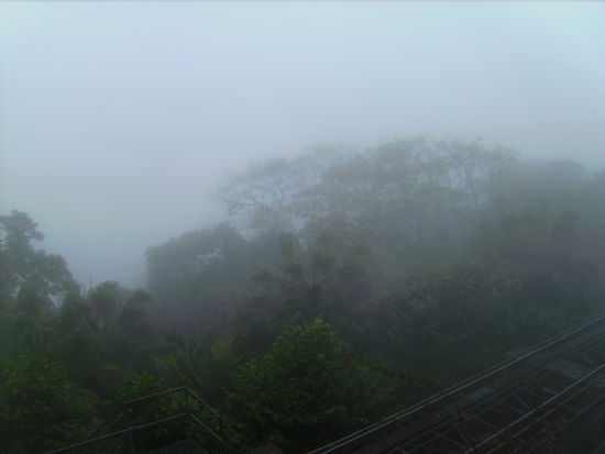 Das war unsere Aussicht vom Victoria Peak...