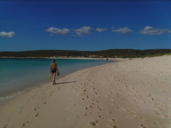 Ein schöner Rücken kann auch entzücken  In der Turquoise Bay