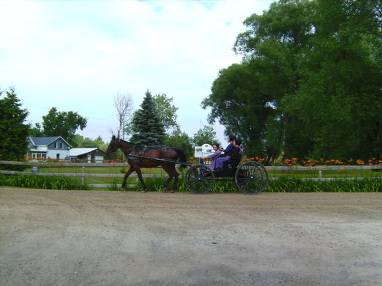 ...und diese Leute befahren die Kissing Bridge regelmäßig mit ihren Flitzern...wie gesagt wie in einer anderen Welt...