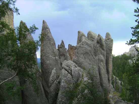 Am Needles Highway im Custer State Park