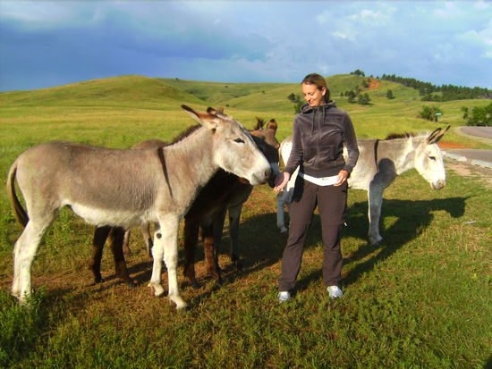 Wo ein Esel, da Sabina...  Brav hat sie die Viecher mit ihrem vorletzten Apfel gefüttert...den letzten hat sie allerdings lieber selber gegessen...jaja der Futterneid!!!