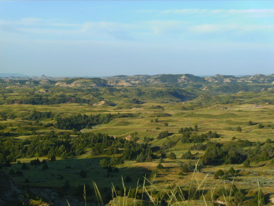 Theodore Roosevelt National Park - der wahrscheinlich am seltensten besuchte National Park in den USA...jaja nach North Dakota kommt halt nicht jeder 