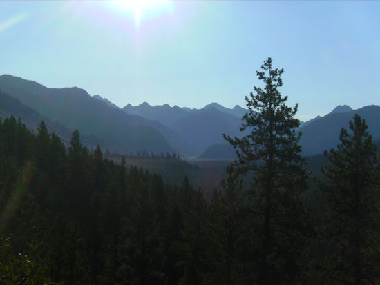 Am Ponderosa Pine Scenic Byway