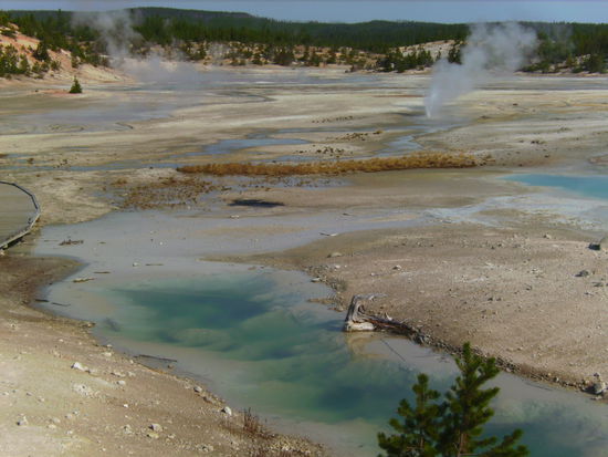 ...und zischen tut es auch nicht wenig... 