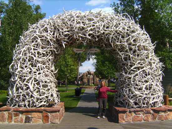 Jeden Frühling werfen die Elche ihr Geweih ab...darum haben sie in Jackson, Wyoming so viele davon... 