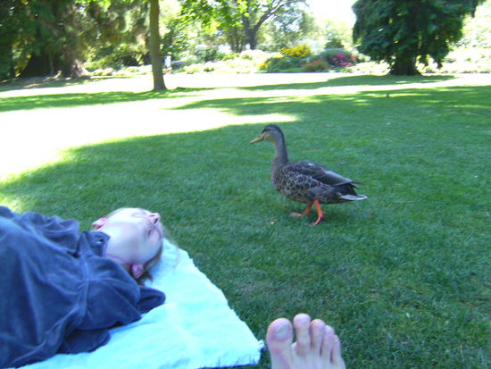 Sabina im intensiven Gespräch mit einer Ente 