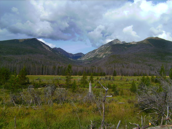 Im Rocky Mountain National Park