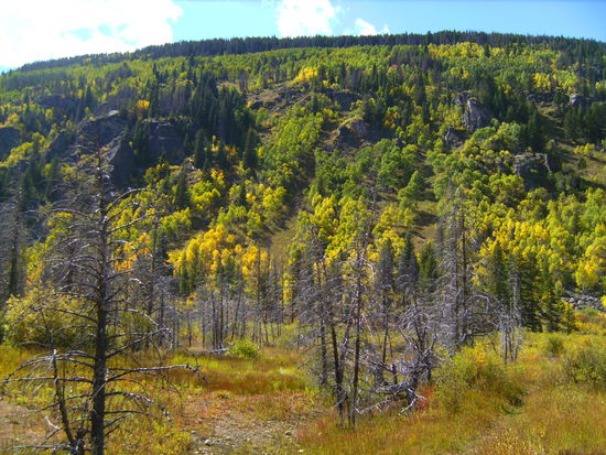 Es herbstelt in den Rockies...