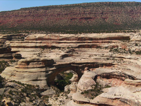 Eine der 3 Natural Bridges @ Natural Bridges National Monument