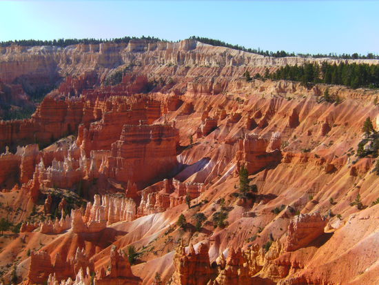 @ Bryce National Park