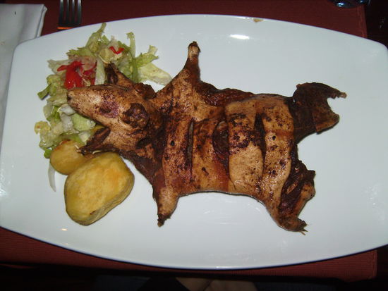 Da liegt es nun das Meerschweinchen...