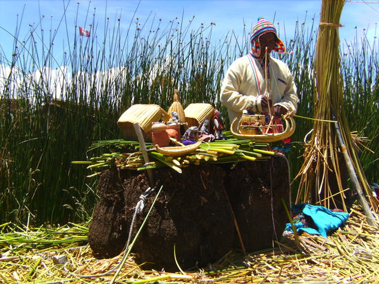 Plastische Erklärung wie die schwimmenden Inseln funktionieren - Schilfwurzeln vertauen, Schilf drüber, Häuser drauf und schon ist alles paletti... 