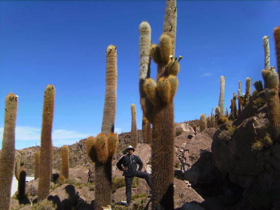 Pro 100 Jahre wachsen diese Kakteen 1 Meter - sie werden bis zu 12 Meter hoch und somit 1.200 Jahre alt! Fast unheimlich da daneben zu stehen...