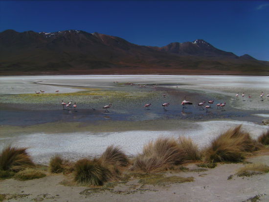 Laguna Hedionda - ohne Worte 