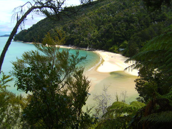 Blick auf eine der malerischen Buchten im Abel Tasman National Park