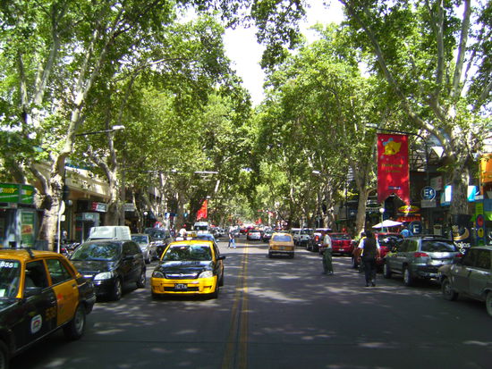 Avenida Las Heras - eine der wunderschönen breiten Alleen von Mendoza und auch noch eine sehr belebte Geschäftsstraße