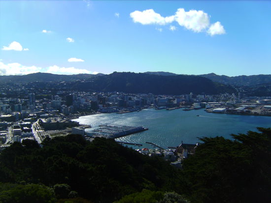 Blick auf Wellington vom Mount Victoria Lookout