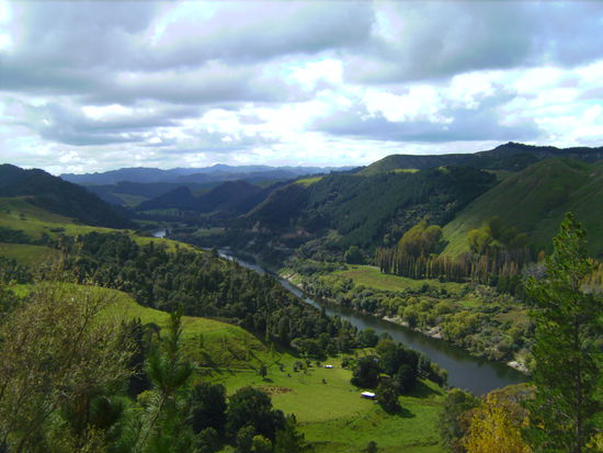 Blick auf den Whanganui-River