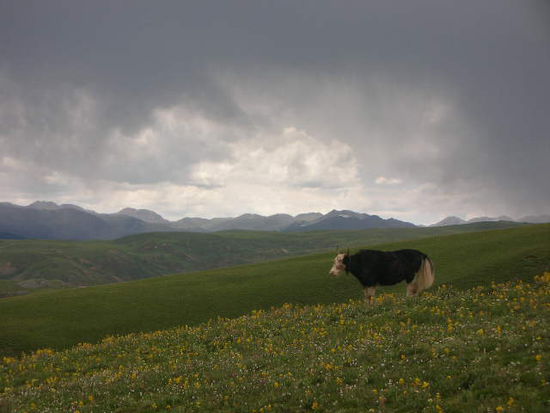 wanderungen ausserhalb der stadt sind nicht nur wegen der aussicht atemberaubend sondern auch wegen der hoehe (4016m und hoeher)