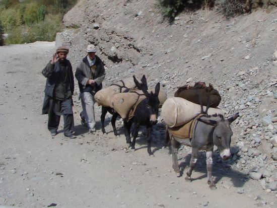 pakistanischer gegenverkehr - verzierter lastwagen oder oftmals esel