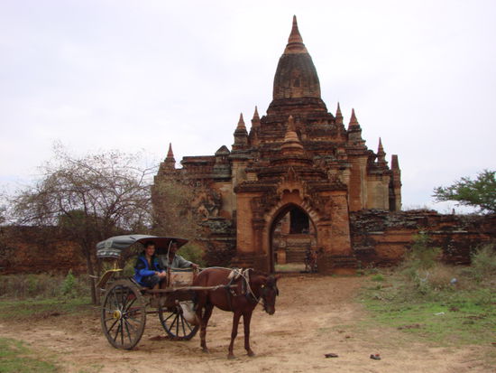 unser pferdekutschenfahrer bringt uns an viele entlegene tempel in bagan