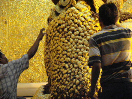 man koennte den goldbuddha schon fast mit einem buggelwal vergleichen