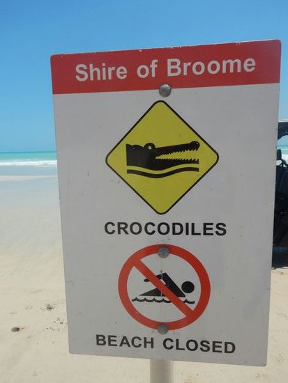 Der Strand wird wegen eines Krokodils gesperrt