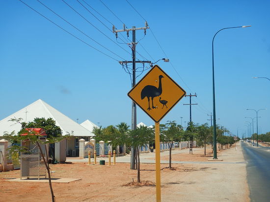 Achtung Emu mit Familie