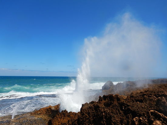 Bei den Blowholes spritzt das Wasser, welches von den Wellen an die Felsen gepresst wird, durch Löcher in die Höhe.