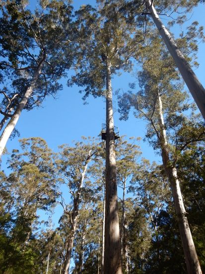 Sara war mutig und hat es bis zur ersten Plattform geschafft.