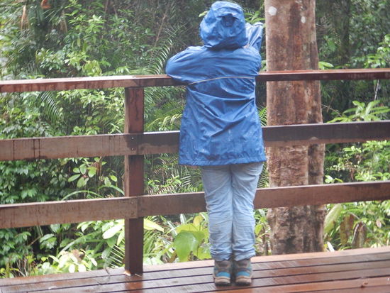 Später beginnt es zu regnen und damit verschlechtern sich unsere Chancen noch mehr einen "Waldmenschen" zu sehen