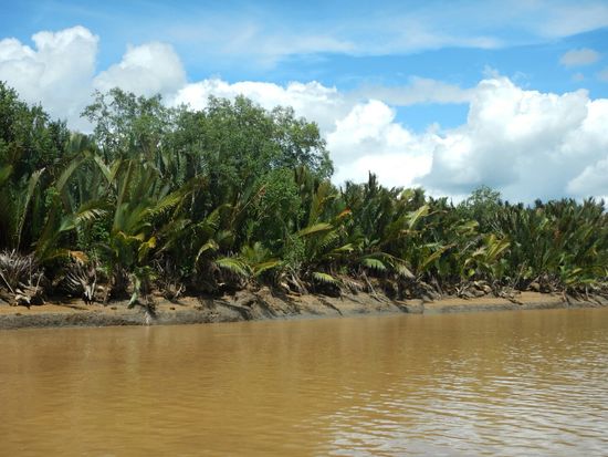 Aussicht von der Fähre von Kuching nach Sibu