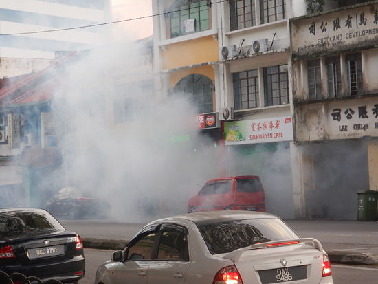 Mückenvernichtung in Kuching