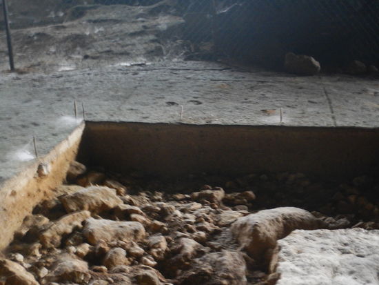 Eine Schicht Guano (Vogel- und Fledermauskot) überzieht den ganzen Höhlenboden