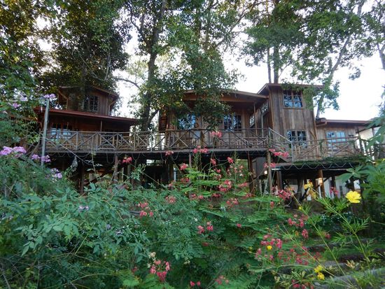 Das Baumhaus ist nicht so hoch oder so fest im Dschungel wie wir es uns vorgestellt haben, dafür bietet es Komfort 