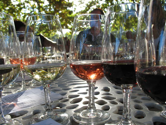 Weintour in der Region von Stellenbosch.