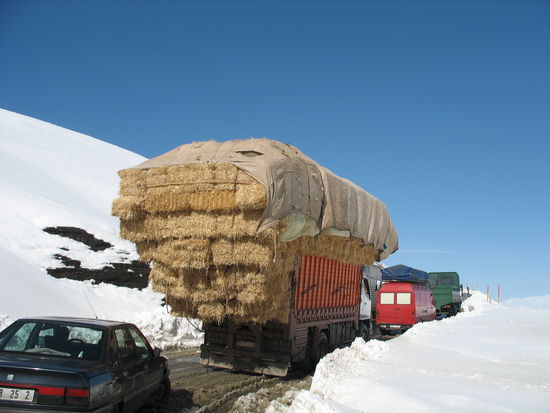 Da gibt es noch welche, die haben mehr als wir dabei.