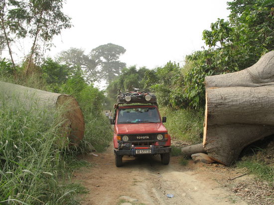 Nach zwei Tagen sägen konnten wir endlich weiterfahren...