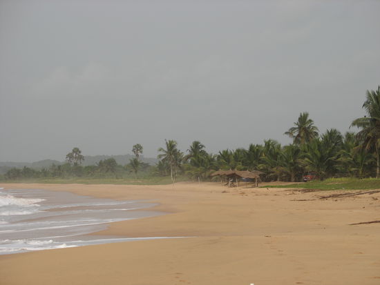 Am schoensten Strand der Welt. Fidel hat sich hinter den Palmen versteckt.
