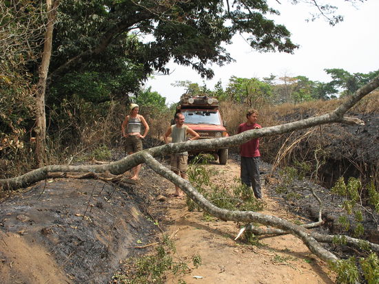 Auf der Ringroad: Sonja, Ian und Chris diskutieren, wie sie den Baum von der Piste ziehen wollen.