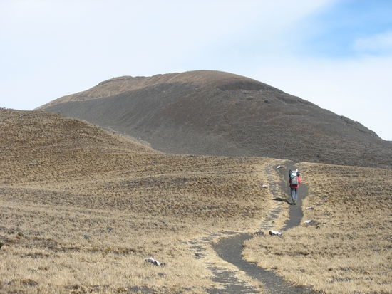 Chris kurz vor dem Gipfel des Mount Kamerun.