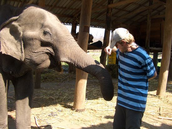 Elefant und Georg (v.l.n.r.)