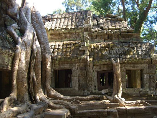 Ta Prohm - der mit den Baeumen