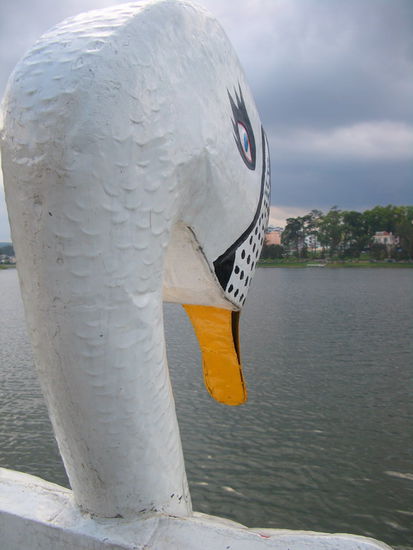 Das Tretboot aus der Sicht des Tretenden 
(lebende Tiere sind nicht zu Schaden gekommen!)