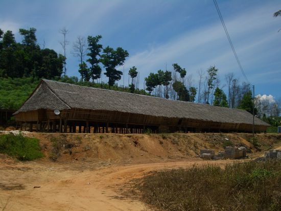 Boah, sind die lang: Rungus Longhouse