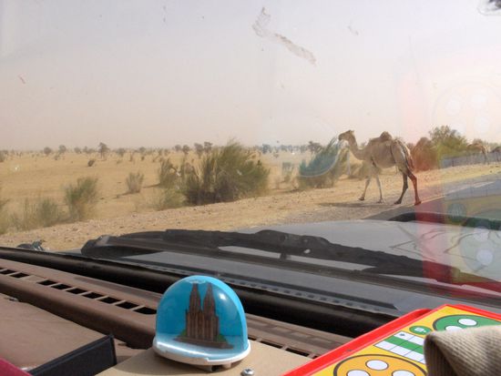 Der Dom und das Kamel weisen den Weg!