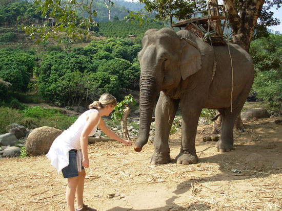 Dumbo & ich (mit Sicherheitsabstand)