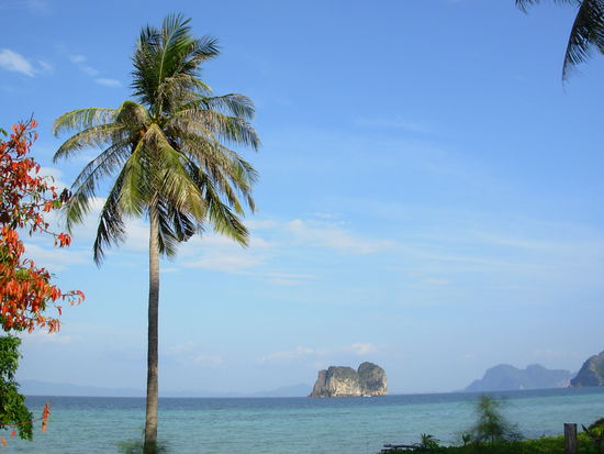 Ausblick von unserem Bungi