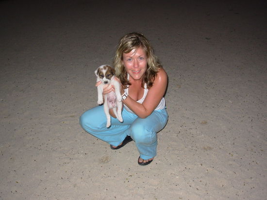 Hundebabys am Strand