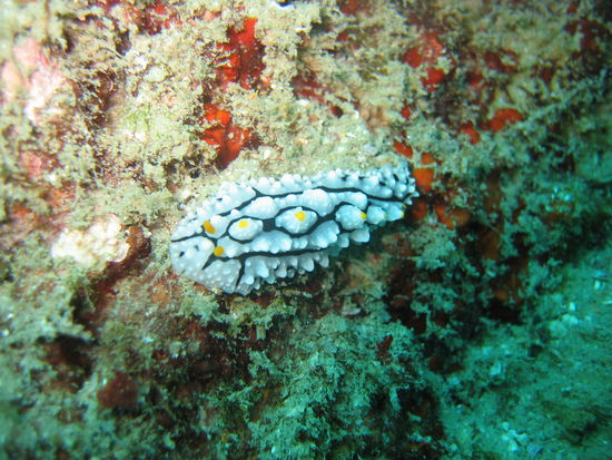 mh...keine Ahnung was das ist....  